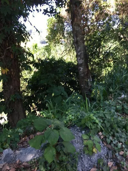 River Valley Holiday Retreat Hindagala Apartment